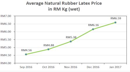 Natural Rubber Latex Price